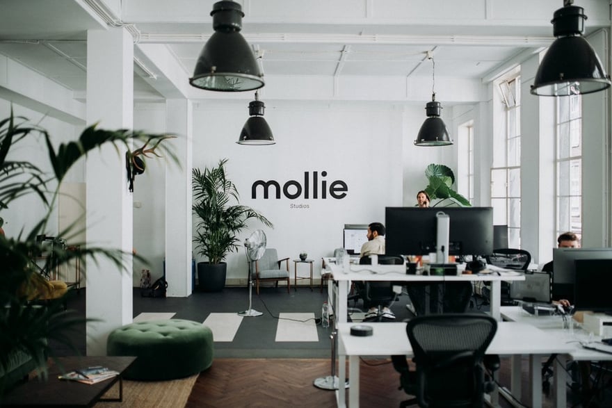 Mollie2