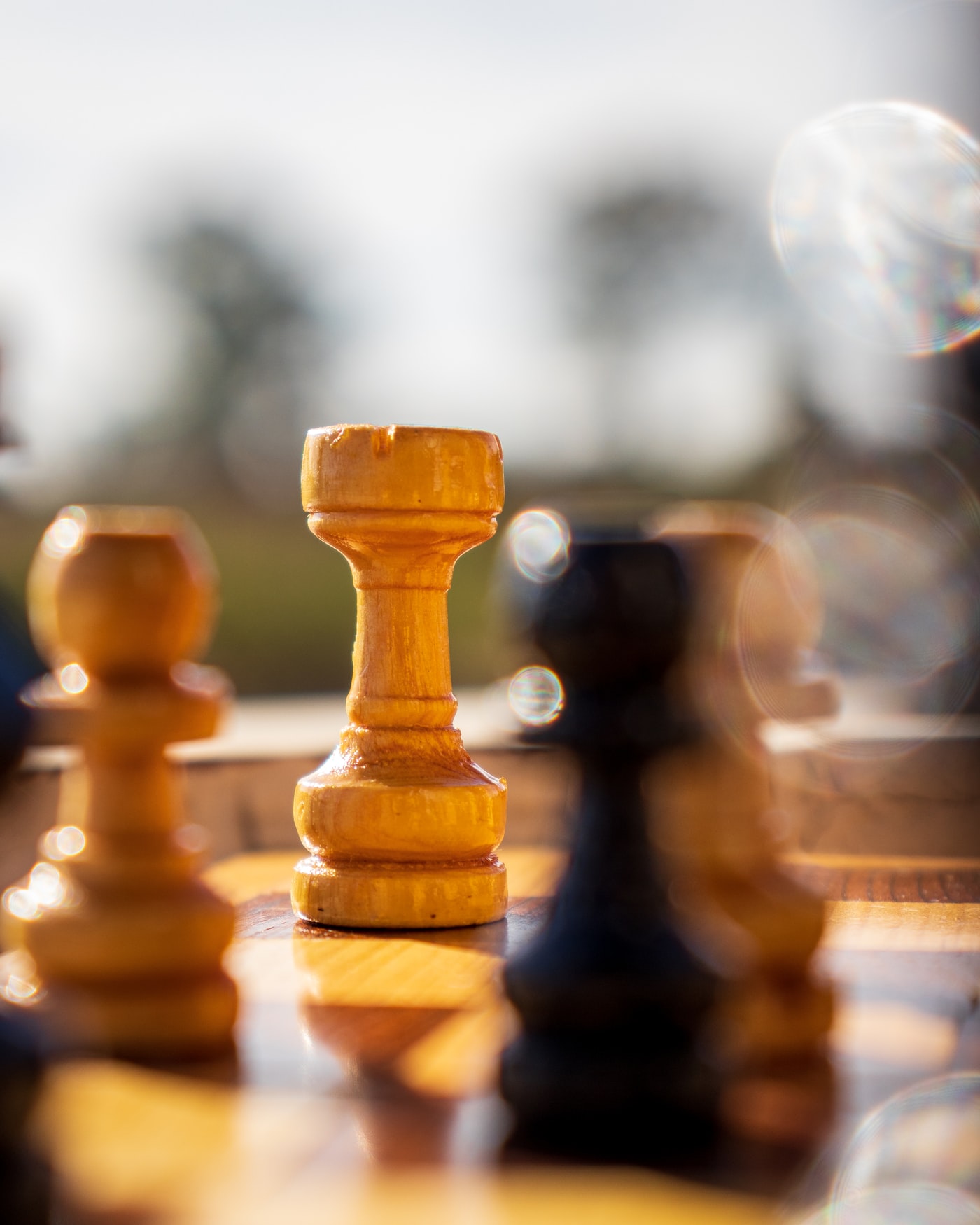Chess board with the king in focus