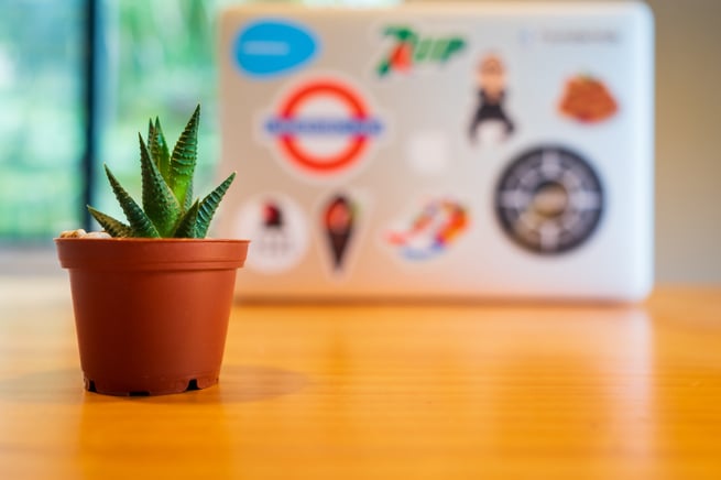 https://www.webs.nl/hubfs/media/images/stock/small-plant-desk-laptop.jpeg