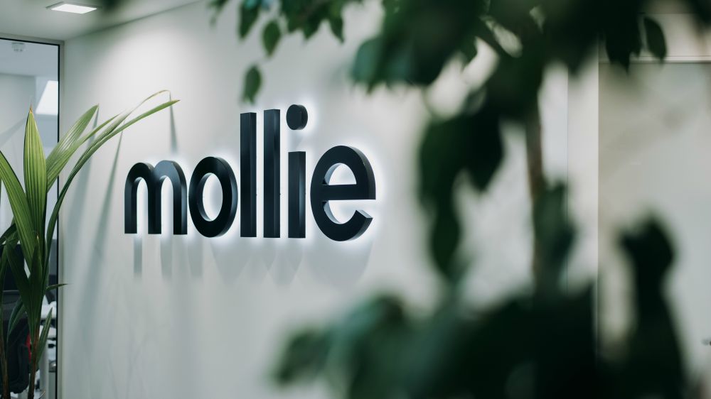 Mollie1
